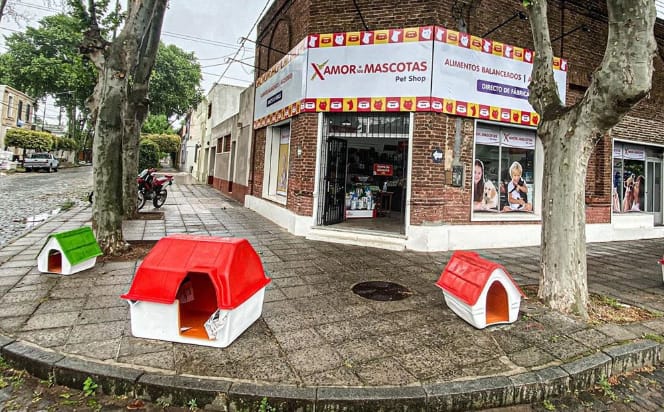 Amor x las Macotas