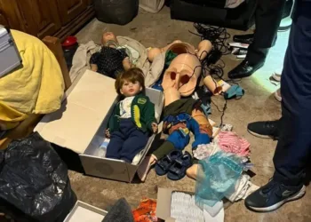 Cayó en Ituzaingó el mayor distribuidor de pornografía infantil del país