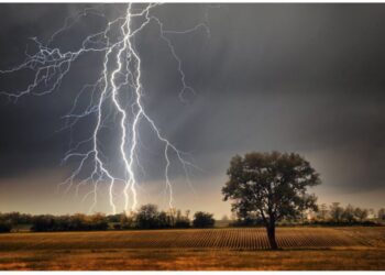 Toda la provincia en alerta por tormentas, lluvias y vientos
