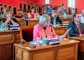 Unión por la Patria no acompañó el proyecto de Seguridad