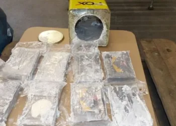 La mafia de los Balcanes, principal  proveedora de cocaína sudamericana