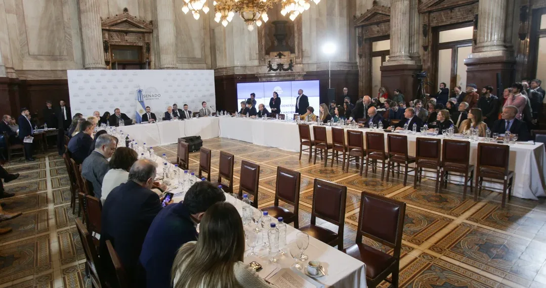 Ley Bases y paquete en Senado: ronda final de expositores y el dictamen sigue siendo una incógnita
