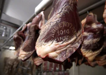 Las exportaciones de carne vacuna crecieron un 25,1% interanual