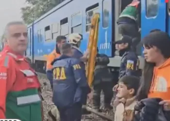 «Control, chocamos acá. Había un tren», dijo el maquinista del tren San Martín
