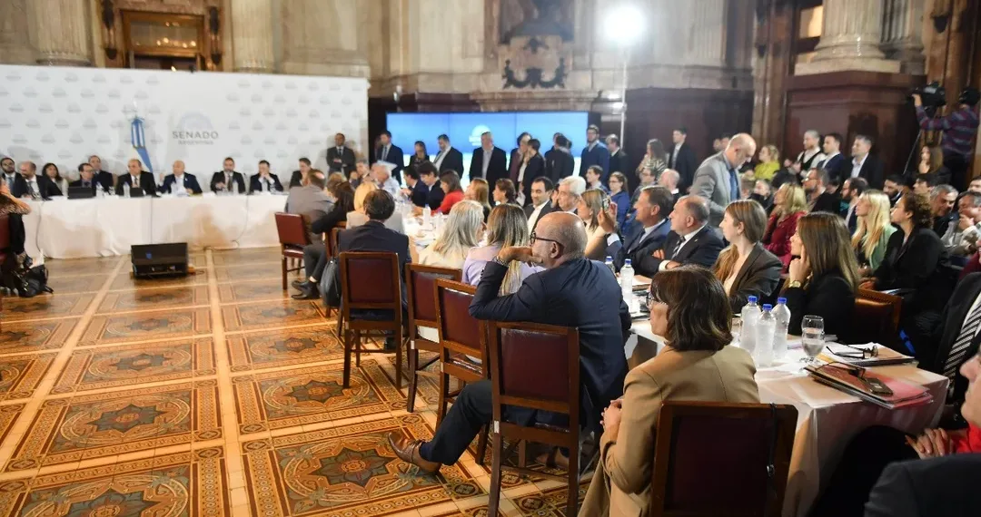 El Senado entró en cuarto intermedio hasta el lunes