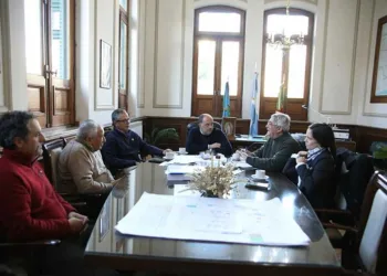 Rodríguez: “Para esta campaña esperamos  una recuperación de la producción de trigo”