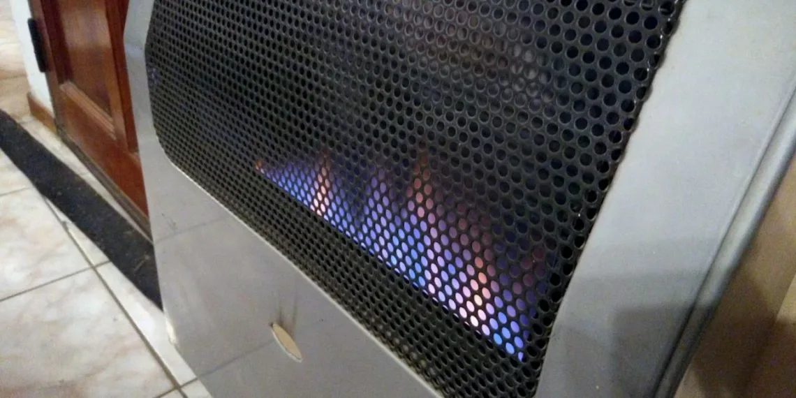 “Hubo un incremento inesperado en el consumo  de gas, pero se va acomodar”, afirmó Favorolo