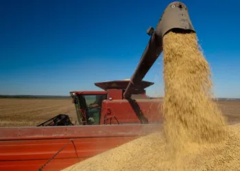 En Junín la cosecha  es “muy buena”