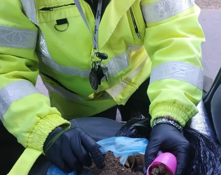 Gendarmería Junín secuestró marihuana en un vehículo
