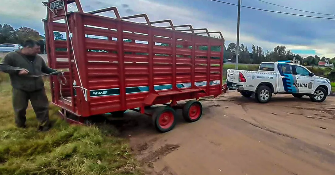 El Municipio adquirió un carro especial para el traslado de equinos sueltos en la vía pública
