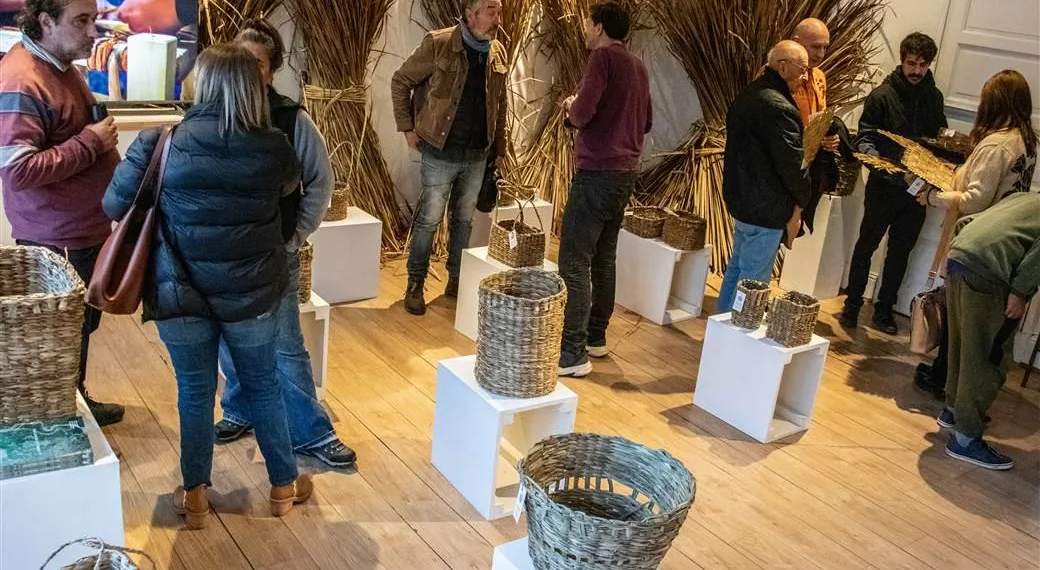 Ya podés recorrer la muestra «Totoreros»