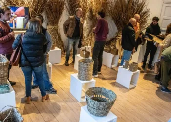 Ya podés recorrer la muestra «Totoreros»