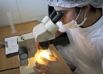 Pautas para la prevención de la triquinosis en la producción y el consumo de alimentos