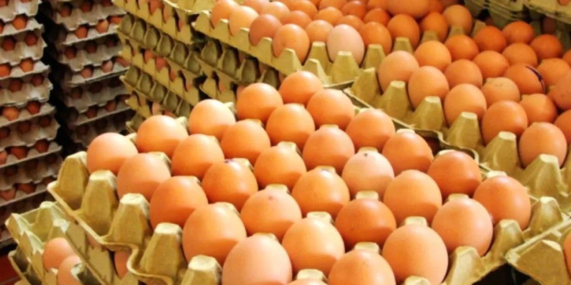 La relación consumo – precios favorece a la producción de huevos