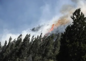 Un incendio afectó a bosques de Bolivia y Brasil