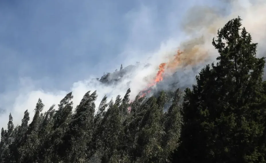 Un incendio afectó a bosques de Bolivia y Brasil
