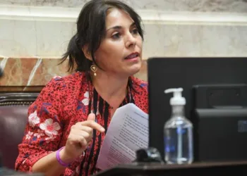 El Gobierno habría abrochado a una senadora clave antes de la votación