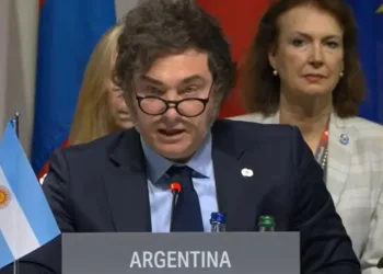 Milei reiteró su apoyo a la canciller Mondino