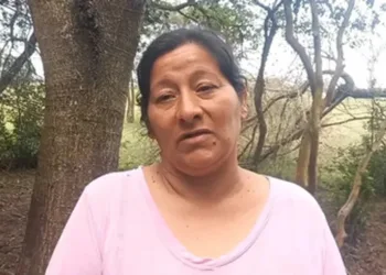 Inesperado giro en el caso Loan: la tía del niño habría confirmado que lo atropellaron