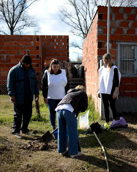 Comenzaron las tareas de forestación urbana en el Barrio “Cirigliano” de Lincoln
