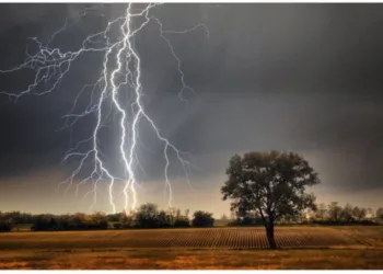 Tormentas y vientos en la provincia: lanzan alertas para el fin de semana
