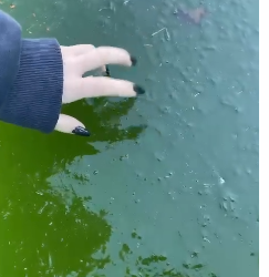 Ola polar en el país: ayer en Junín -7, 6