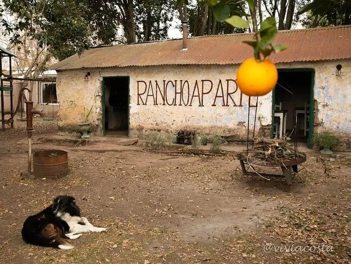 Una vermutería para disfrutar de la comida casera con olor a campo