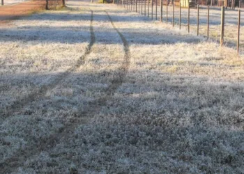 En medio de una ola polar, preocupa la falta de lluvias en región núcleo