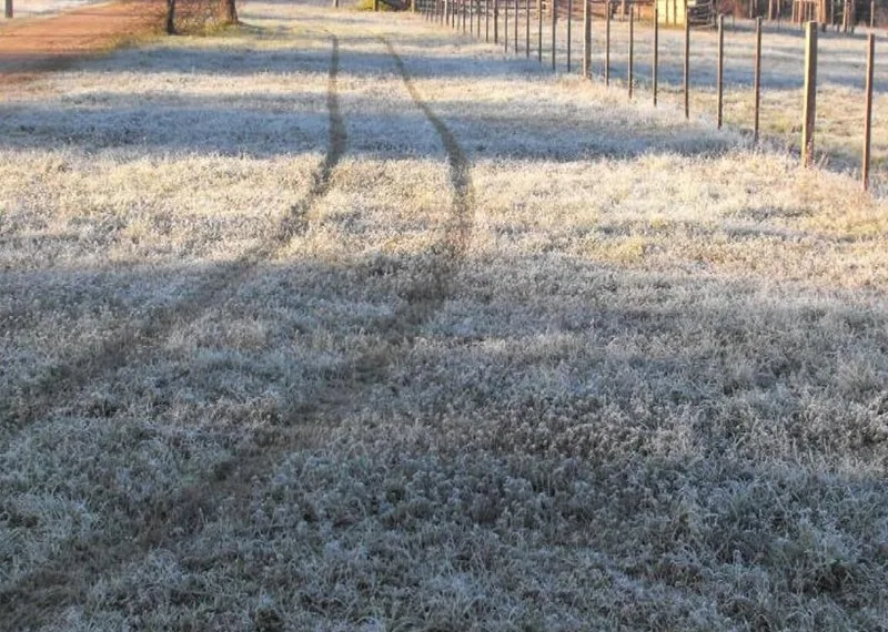 En medio de una ola polar, preocupa la falta de lluvias en región núcleo