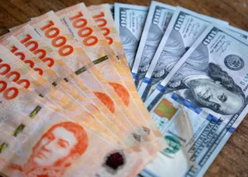 El Gobierno intervendrá desde hoy en el mercado del dólar contado con liqui