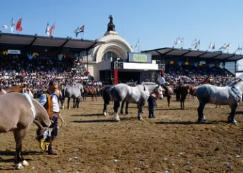 A la espera de la baja de retenciones, el campo aguarda doble visita de Milei