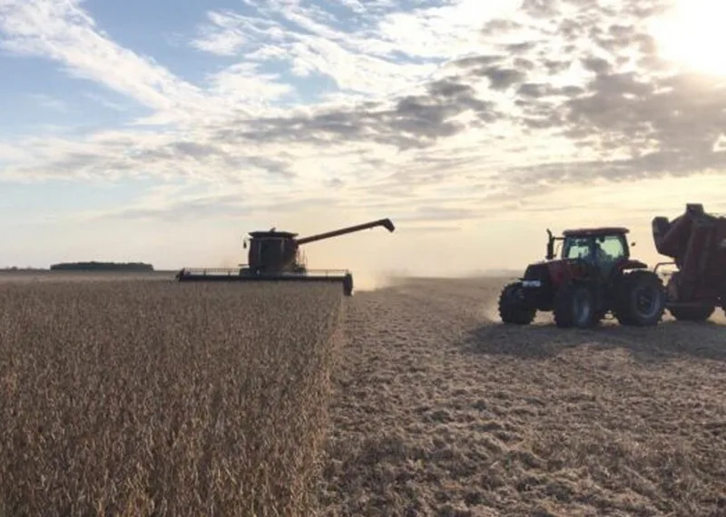 La cosecha de soja llegó a su final y es la más alta en cinco campañas