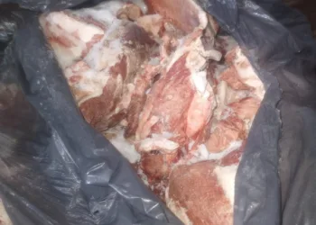 Cuartel II: producto de abigeato despostó 40 kilos de carne