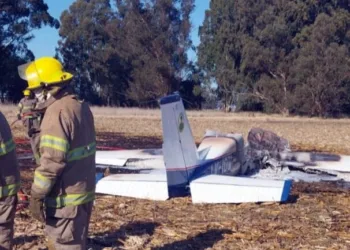 Una avioneta se vino a pique en un campo de Balcarce y sus tripulantes salieron ilesos