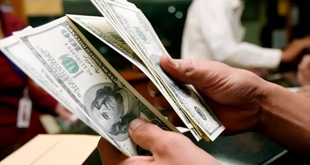 La AFIP reglamentó el nuevo régimen de blanqueo de capitales: cómo adherir