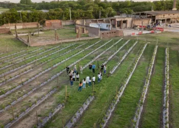 Vinos, alfajores y postres: tres fiestas bonaerenses imperdibles para disfrutar en julio 2024