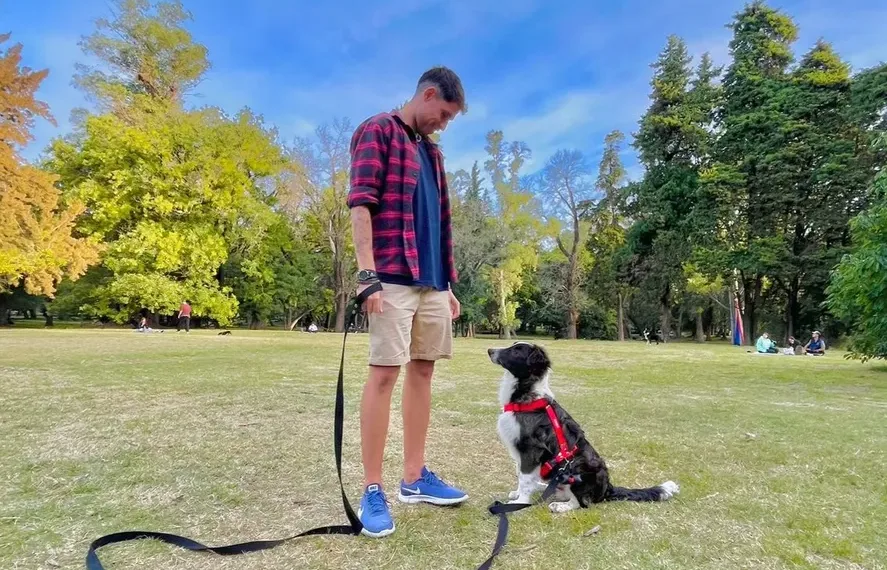 Creó una aplicación para ayudar a encontrar mascotas perdidas y ya van más de 600 reencuentros