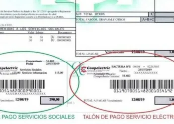 Dónde, cómo y hasta cuándo hay que inscribirse para no perder el subsidio a la luz y el gas