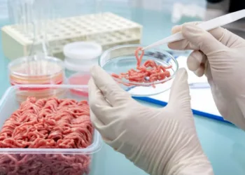 Triquinosis: se registraron cuatro brotes en la provincia en lo que va del año