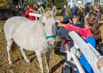 Se retoman hoy las actividades de  la Escuela Integral de Equinoterapia