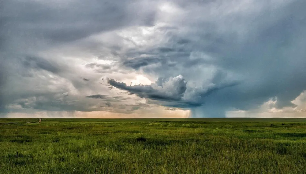 Las lluvias salvaron al trigo y mejoraron las chances de un buen año