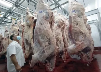 El consumo de carne vacuna en el nivel más bajo del siglo