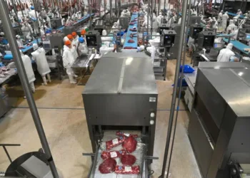 El Gobierno elimina derechos de exportación en productos agroindustriales