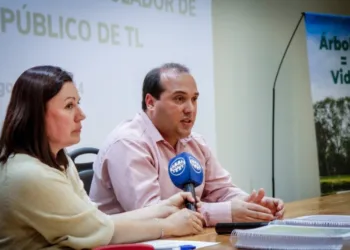 Plan regulador del alumbrado  público en Trenque Lauquen