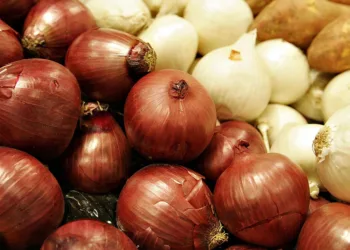 Para llorar: el precio de la cebolla subió 57,1% en julio