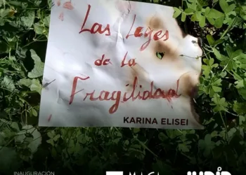 Invitan a participar de la inauguración de «Las leyes de la fragilidad» en el MACA