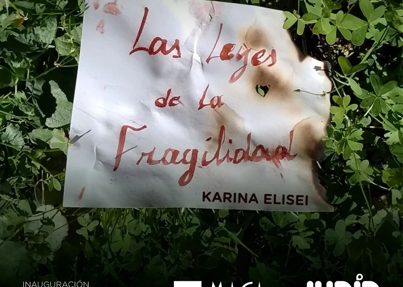 Invitan a participar de la inauguración de «Las leyes de la fragilidad» en el MACA