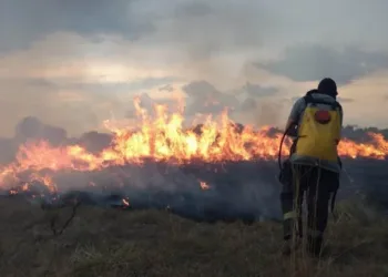 El Gobierno envía asistencia para combatir los incendios en Tucumán, La Rioja y Corrientes