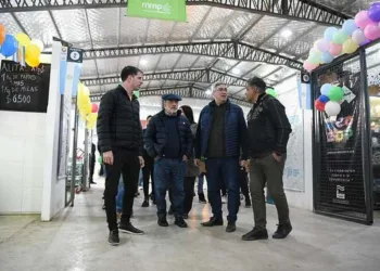 Avanzan en la creación de un Mercado Fijo