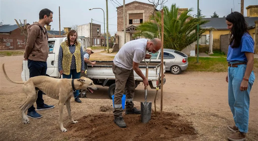 El Municipio continúa fortaleciendo  el plan de forestación en la ciudad